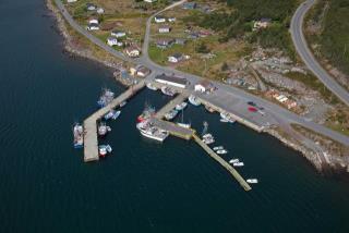 Small Craft Harbour Site, 00173, Heart's Content, Newfoundland and Labrador. (2020)