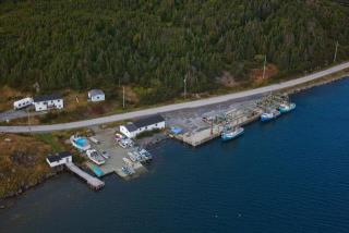 Site du Port pour Petits Bateaux, 55547, Griquet (Terre-Neuve-et-Labrador). (2020)