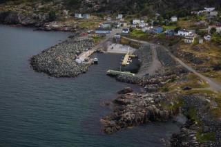 Small Craft Harbour Site, DFRP 00029, Bauline, Newfoundland and Labrador. (2020)