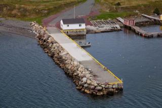 Small Craft Harbour Site, 00161, Heart's Delight, Newfoundland and Labrador. (2020)