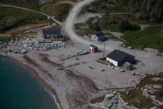 Site du Port pour Petits Bateaux, 55684, Sheaves Cove, Terre-Neuve-et-Labrador. (2020)