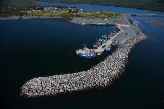 Small Craft Harbour Site, 00055, O'Donnell's, Newfoundland and Labrador. (2020)