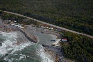 Site du Port pour Petits Bateaux, 07147, Josephine's Cove (Terre-Neuve-et-Labrador). (2020)