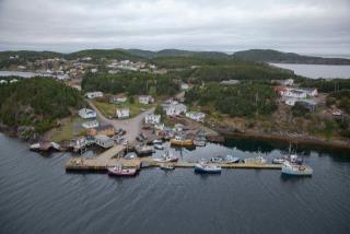 Small Craft Harbour Site, 01459, Leading Tickles West, Newfoundland and Labrador. (2020)