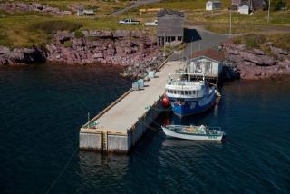 Small Craft Harbour Site, 01152, Open Hall, Newfoundland and Labrador. (2020)