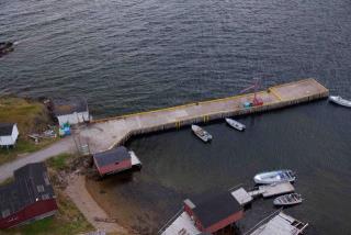 Small Craft Harbour Site, 01086, New Bonaventure, Newfoundland and Labrador. (2020)