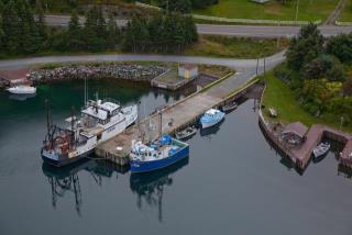 Site du Port pour Petits Bateaux, 26796, Conception Harbour (Terre-Neuve-et-Labrador). (2020)