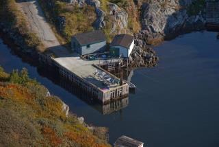 Site du Port pour Petits Bateaux, 00717, Fox Roost (Terre-Neuve-et-Labrador). (2020)