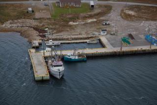 Small Craft Harbour Site, 34819. Flower's Cove, Newfoundland and Labrador. (2020)