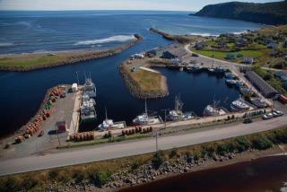 Small Craft Harbour Site, DFRP 34600, Branch, Newfoundland and Labrador. (2020)