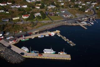 Small Craft Harbour Site, DFRP 23548, Bay Bulls, Newfoundland and Labrador. (2020)