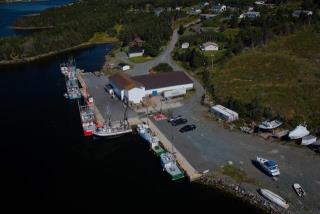 Small Craft Harbour Site, 12307, Riverhead, Newfoundland and Labrador. (2020)