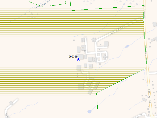 Une carte de la zone qui entoure immédiatement le bâtiment numéro 000339