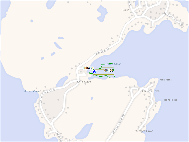 Une carte de la zone qui entoure immédiatement le bâtiment numéro 000438