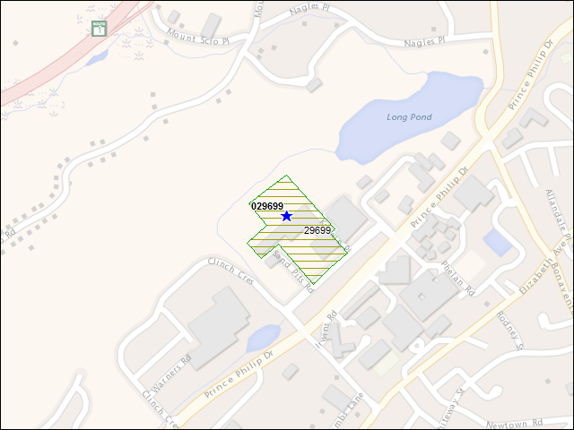 A map of the area immediately surrounding building number 029699