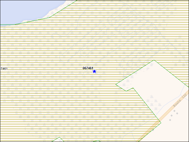 A map of the area immediately surrounding building number 067461