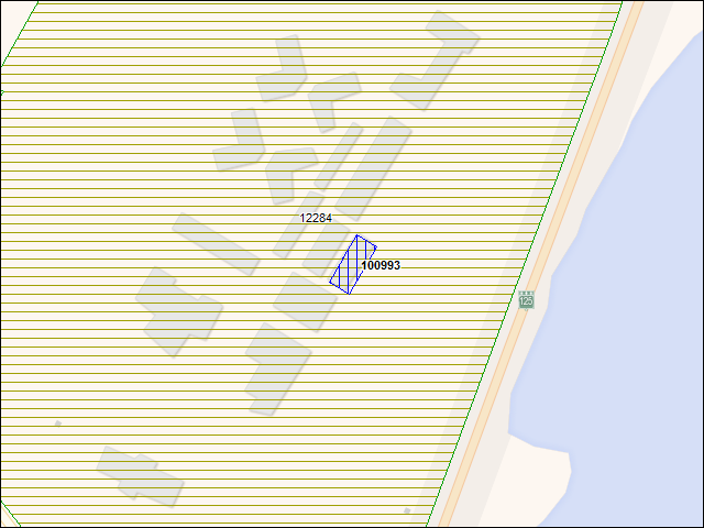 A map of the area immediately surrounding building number 100993
