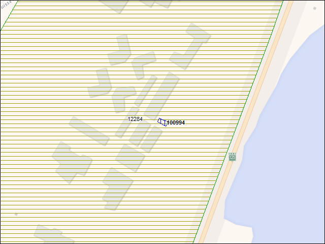A map of the area immediately surrounding building number 100994