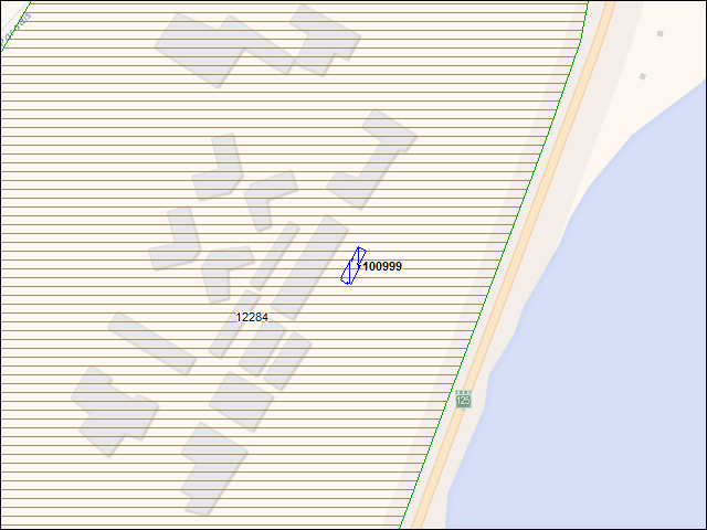 A map of the area immediately surrounding building number 100999
