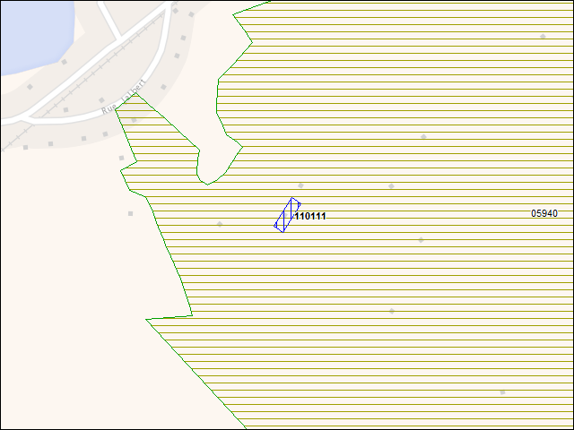 A map of the area immediately surrounding building number 110111