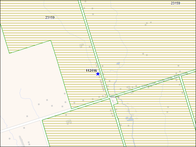 Une carte de la zone qui entoure immédiatement le bâtiment numéro 113116