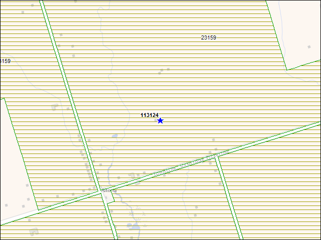 Une carte de la zone qui entoure immédiatement le bâtiment numéro 113124