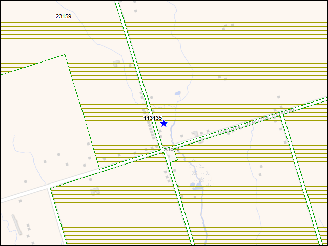 Une carte de la zone qui entoure immédiatement le bâtiment numéro 113135