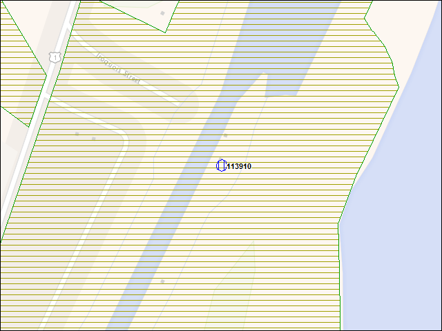 A map of the area immediately surrounding building number 113910