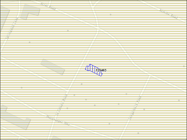 Une carte de la zone qui entoure immédiatement le bâtiment numéro 125463