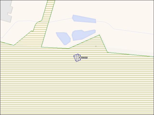 A map of the area immediately surrounding building number 125658