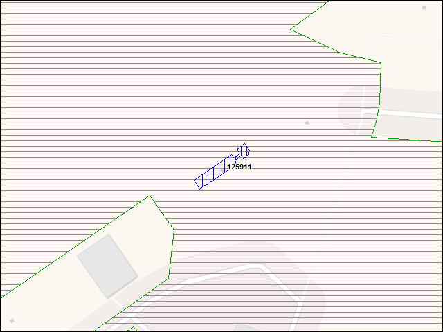 A map of the area immediately surrounding building number 125911