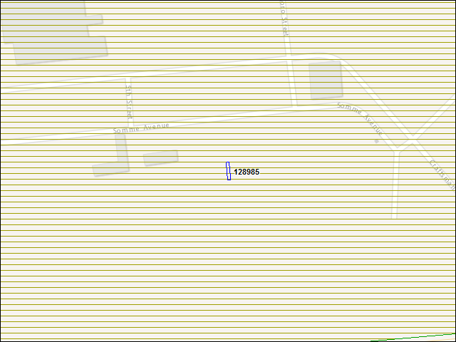 Une carte de la zone qui entoure immédiatement le bâtiment numéro 128985