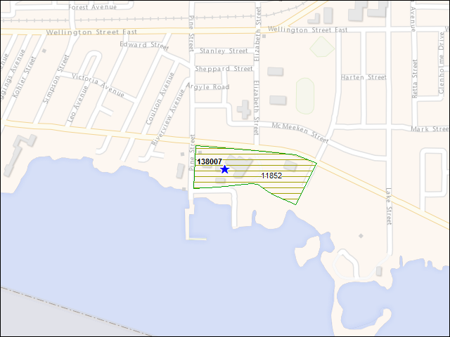 Une carte de la zone qui entoure immédiatement le bâtiment numéro 138007
