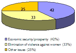 Pie chart of issues addressed: Economic security/prosperity, 42%; elimination of violence against women, 33%; other issues, 25%