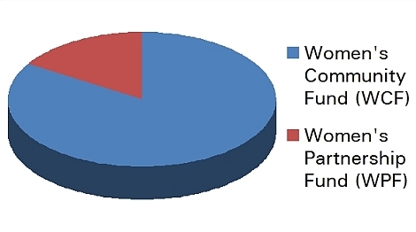 This three-dimensional pie chart shows the balance of spending between the Womens Community Fund (about five sixths) and the Womens Partnership Fund (about one sixth).