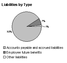 Liabilities by Type