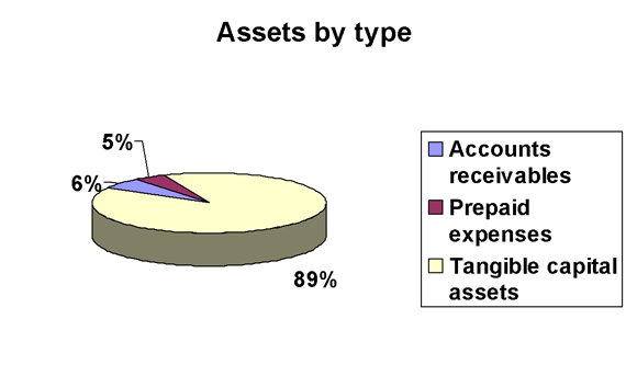 Assets by type