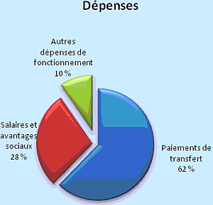 Ce diagramme circulaire indique, en pourcentages, l’importance relative des divers types de dépenses de CFC.