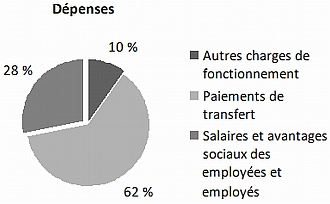 Ce diagramme circulaire indique, en pourcentages, l’importance relative des divers types de dpenses de Condition fminine Canada.