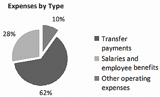 This pie chart shows the mix of expense types at Status of Women Canada.