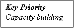 Text Box: Key Priority
Capacity building
