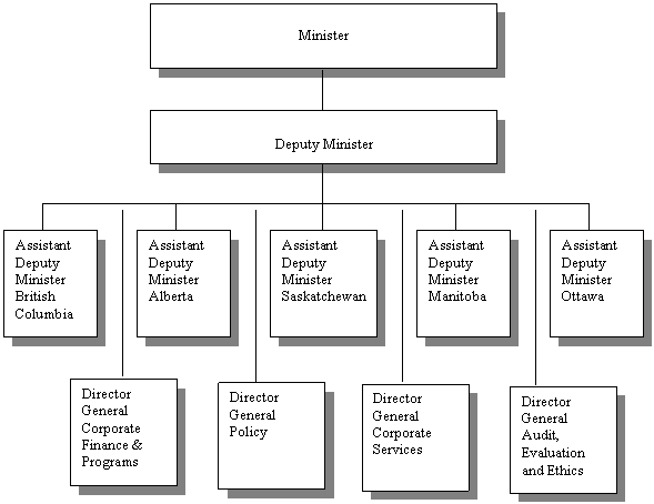 WD Organization Structure