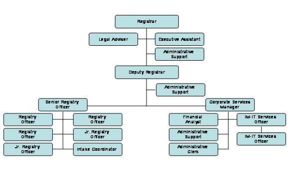 Organization chart of the Registry