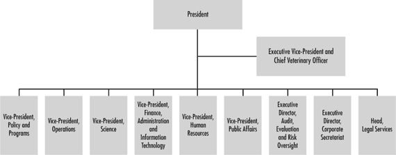 Figure 1 depicts the organizational chart of the senior level management of the CFIA. The Agency is led by its president and reports to the Minister of Agriculture and Agri-Food. The President is supported by an Executive Vice President and Chief Veterinary Officer. The Agency has an integrated governance structure including 9 branches that have specific accountabilities which contribute to the achievement of CFIA's strategic objectives. The Branch Heads include: VP Policy and Programs; VP Operations; VP Science; VP Finance Administration and Information Technology; VP Human Resources; VP Public Affairs; Executive Director Audit, Evaluation and Risk Oversight; Executive Director Corporate Secretariat; and the Head of Legal Services.