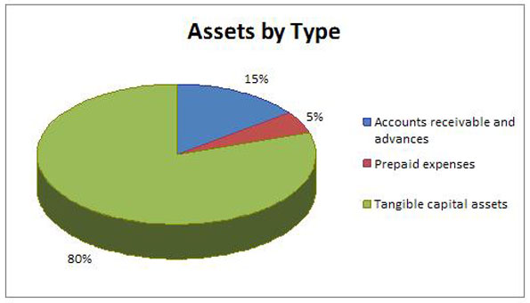 Future-oriented Assets by Type