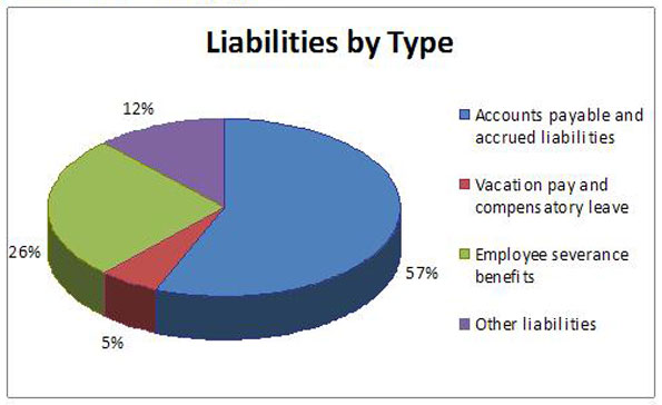 Future-oriented Liabilities by Type